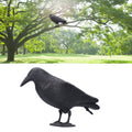 Plastic crow decoy for outdoor garden decoration and hunting bait, suitable for outdoor play and garden decoration.