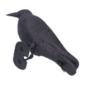 Plastic crow decoy for outdoor garden decoration, used as hunting bait or outdoor play equipment for kids, by Everything Baby.