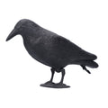 Plastic crow decoy for outdoor garden decoration, used as hunting bait or outdoor play accessory, by Everything Baby.
