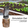 Plastic owl garden statue decoration and decoy for outdoor use, designed to repel pests and enhance outdoor decor.