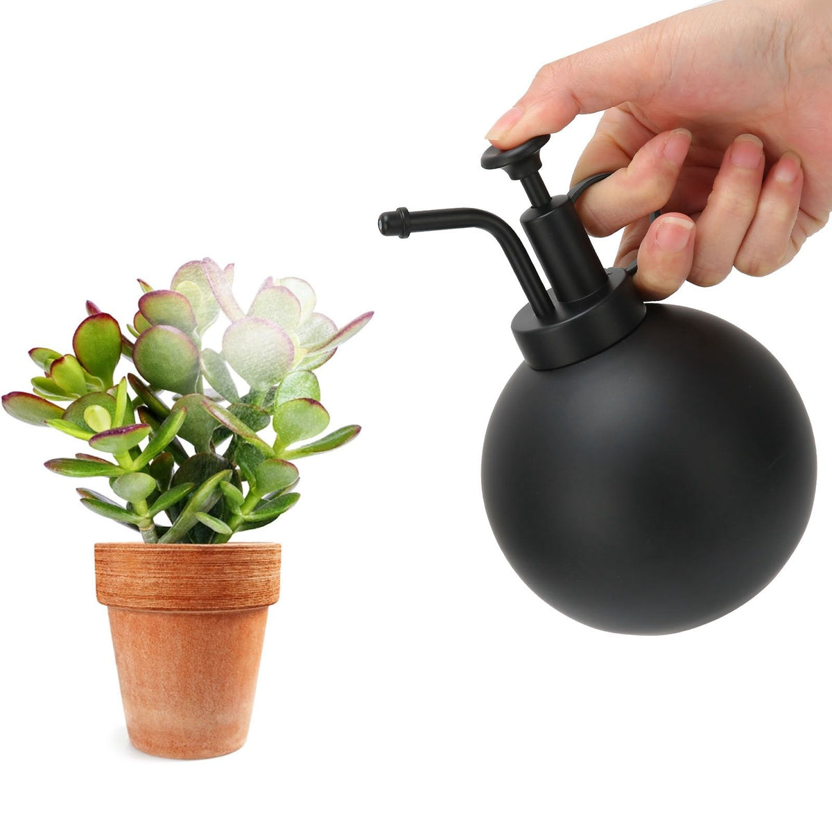 Vintage black 500ml watering pot and hand press spray bottle for gardening, suitable for balcony use, by Everything Baby.