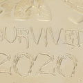 Gold commemorative coin with 2020 memorial design, suitable as a collectible souvenir, part of Everything Baby outdoor play collection.