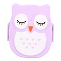 Plastic portable cartoon lunch box by Everything Baby, featuring colorful character design, food-safe microwave storage container for kids.