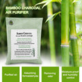Light green air purifying bag with activated charcoal for odor removal, designed for cars and kids' spaces, by Everything Baby.