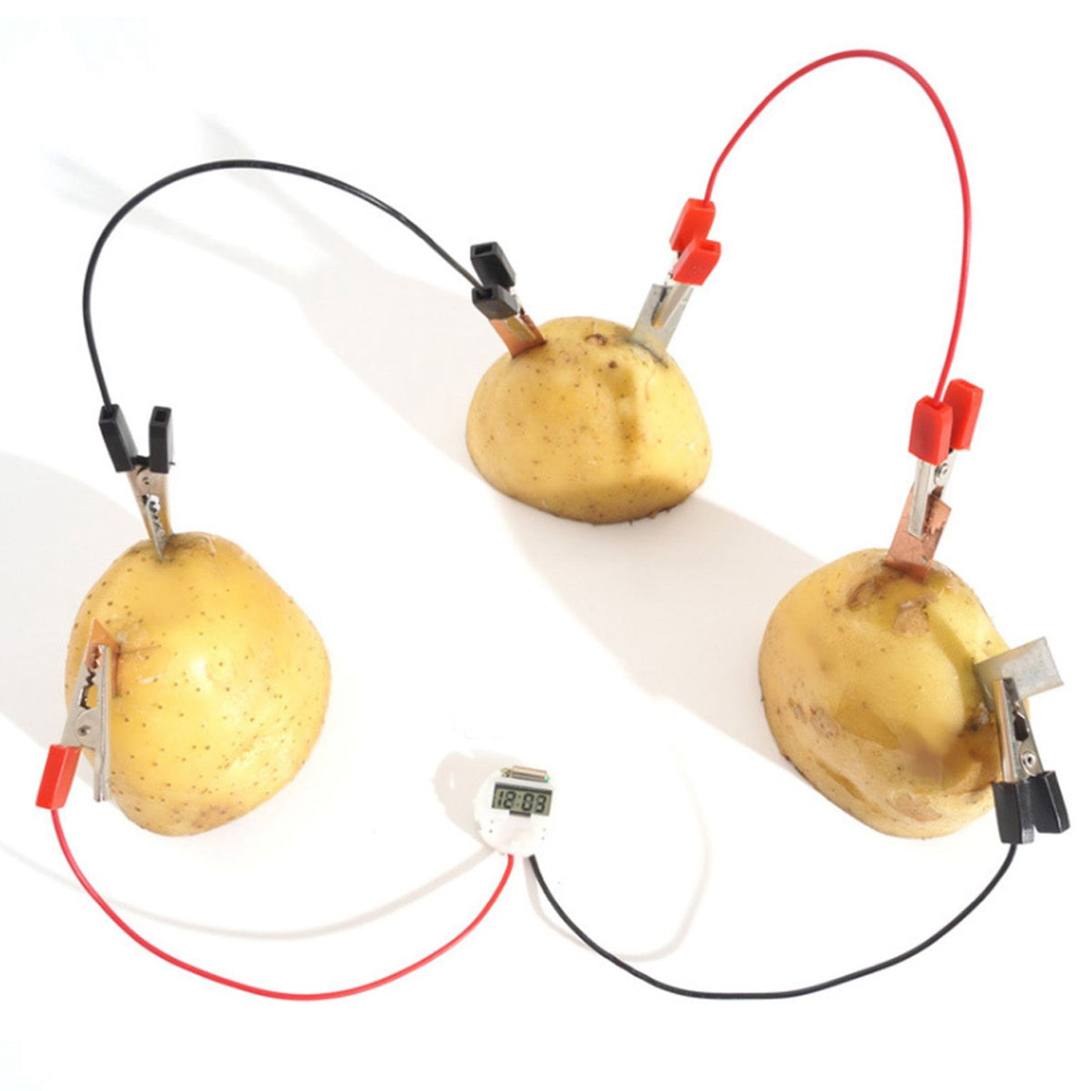 Educational Bio Energy Science Kit for kids featuring potato electricity experiments, pretend play toy from Everything Baby.