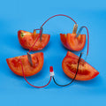 Kids playing with the Bio Energy Science Kit by Everything Baby, educational pretend play toy for children to explore potato electricity experiments.