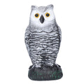 Plastic hunting owl decoy from Everything Baby, outdoor garden bird pest deterrent ornament, realistic fake owl for yard deterrence.