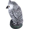 Plastic hunting fake owl decoy for outdoor gardens, pest deterrent ornament, designed to scare away birds and protect yard spaces.