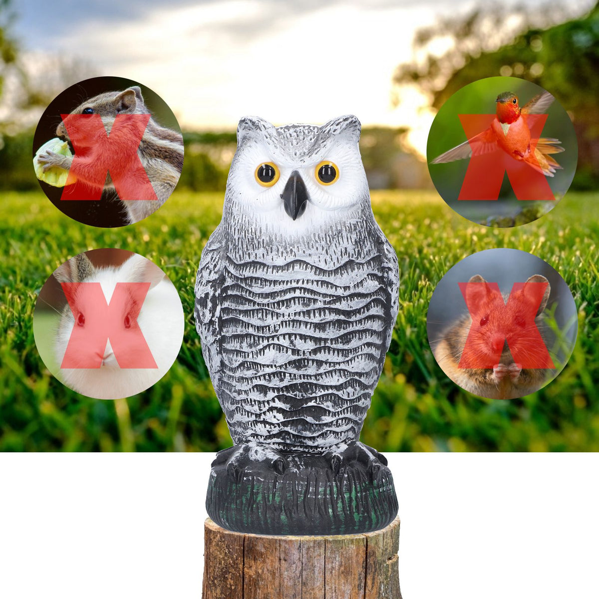 Plastic hunting fake owl decoy for outdoor gardens and yards, used as a pest deterrent ornament from Everything Baby.