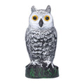Plastic hunting fake owl decoy for outdoor gardens and yards, used as pest deterrent and garden ornament by Everything Baby.