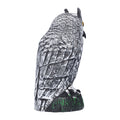 Plastic hunting fake owl decoy from Everything Baby, outdoor garden ornament used as pest deterrent in yards and gardens.