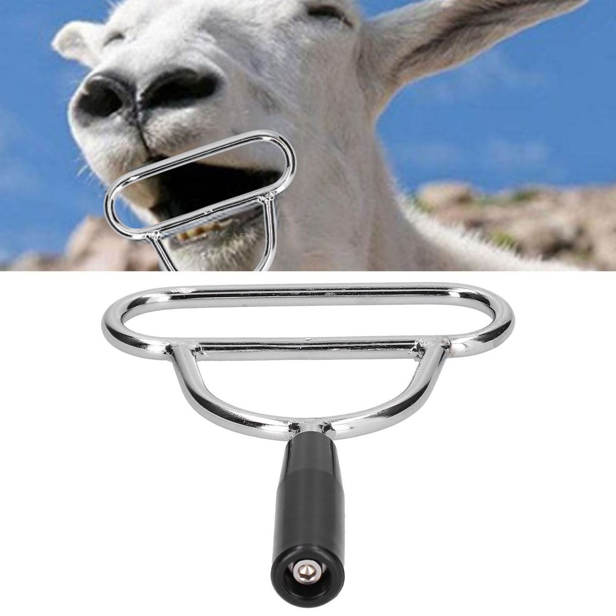 Small veterinary mouth opener for sheep, used for animal mouth procedures and gastric lavage in livestock husbandry.