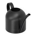 Stainless steel 500ml watering can with long spout for indoor and outdoor houseplant watering.