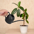 Stainless steel 500ml watering can with long spout for indoor and outdoor houseplant watering, by Everything Baby.