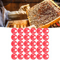 Red 30-pack plastic beehive door entrance discs for beekeeping, round exit vent gate, safety accessory for hive management.