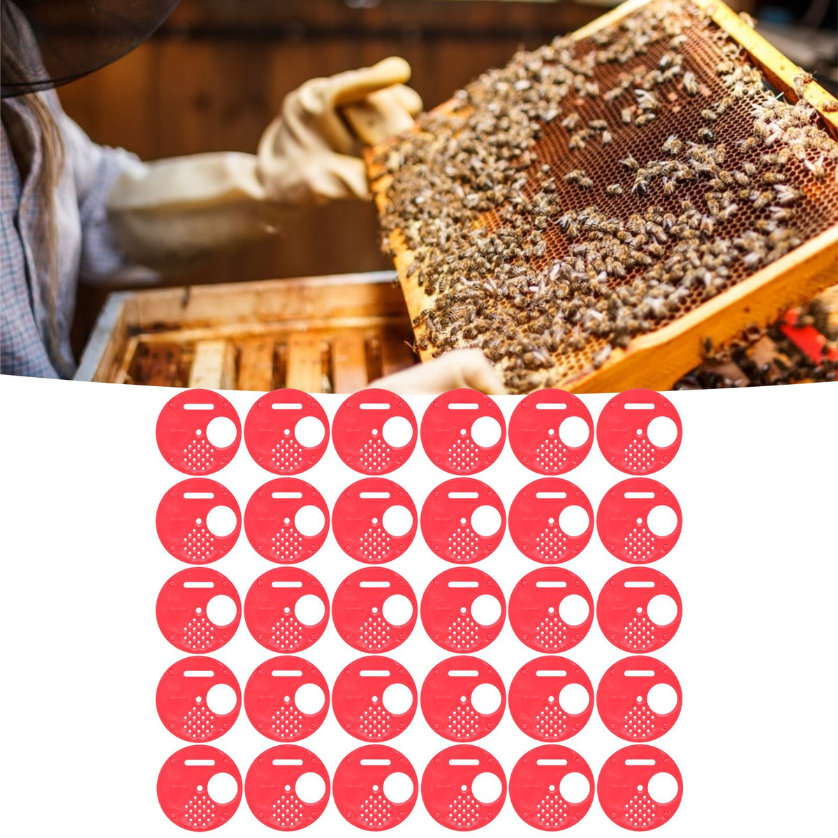 Red 30-pack plastic beehive door entrance discs for beekeeping, round exit vent gate, safety accessory for hive management.