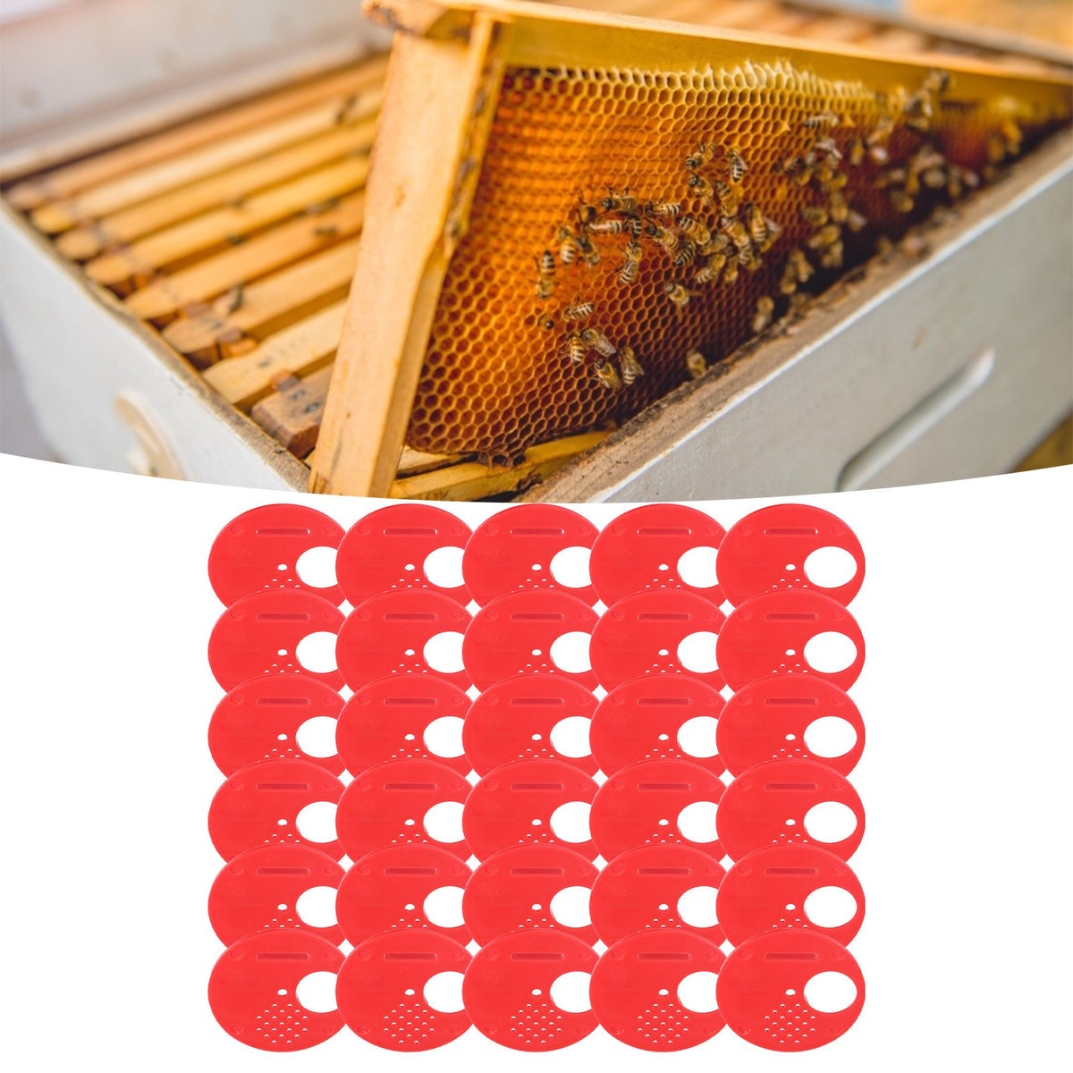 Red plastic beehive door entrance disc, round exit vent gate, designed for beekeeping accessories and hive safety.