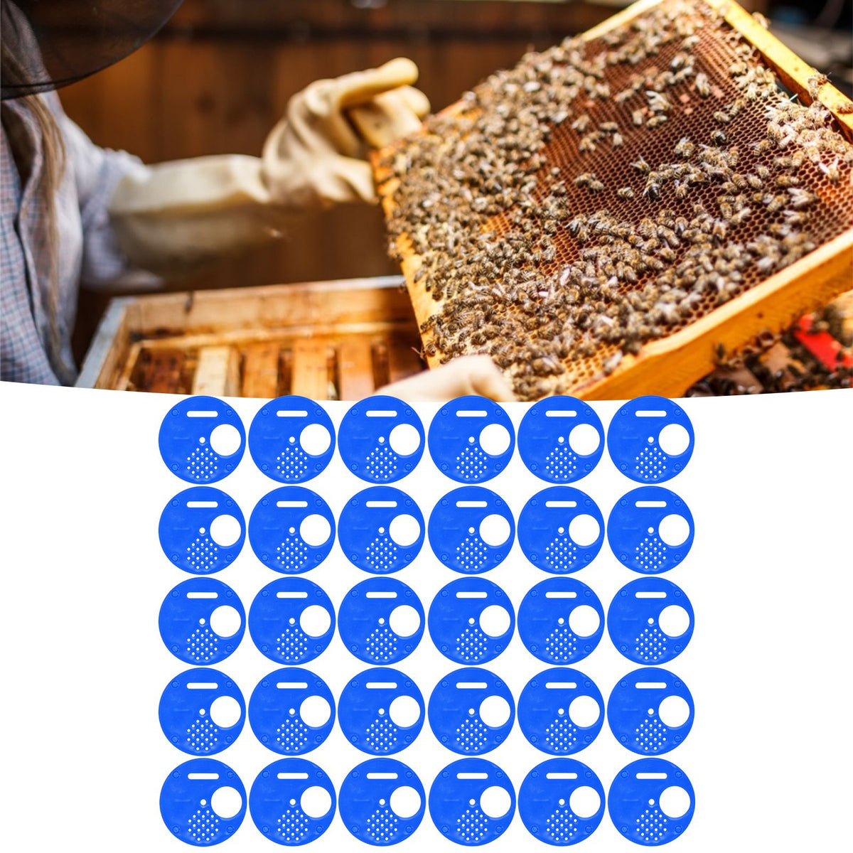 Blue plastic beehive door entrance disc, round exit vent gate for beekeeping, with safety features and durable design.