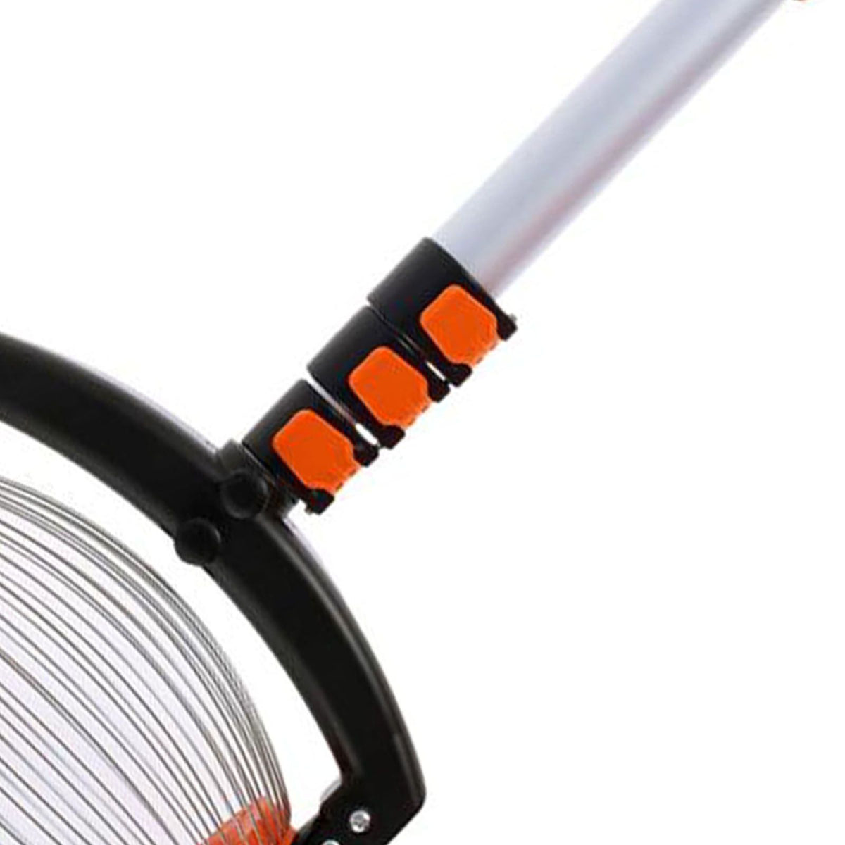 Telescopic nut gatherer and acorn picker with roller for pecans and walnuts, outdoor tool by Everything Baby for outdoor play.
