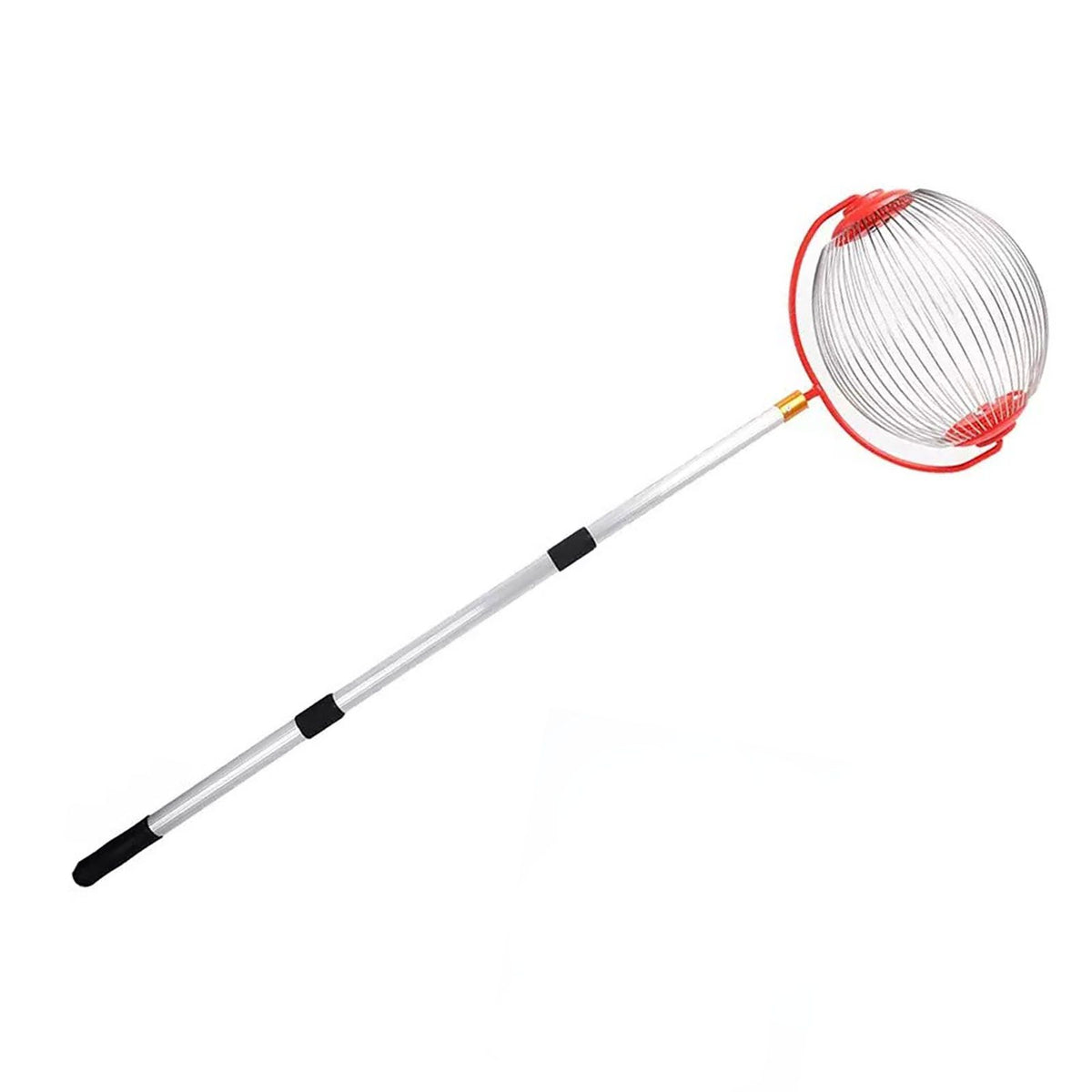 Nut gatherer roller with comfortable handle for collecting walnuts, chestnuts, pecans, and acorns, suitable for outdoor use.