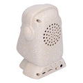Easter Island stone man shape Bluetooth speaker by Everything Baby, USB charging outdoor toy with carved stone appearance.