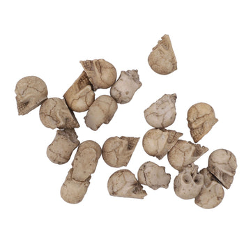 20PCS Miniature Skull Realistic Resin Reusable Miniature Skeleton Head for Micro Landscape Garden Pot Decoration