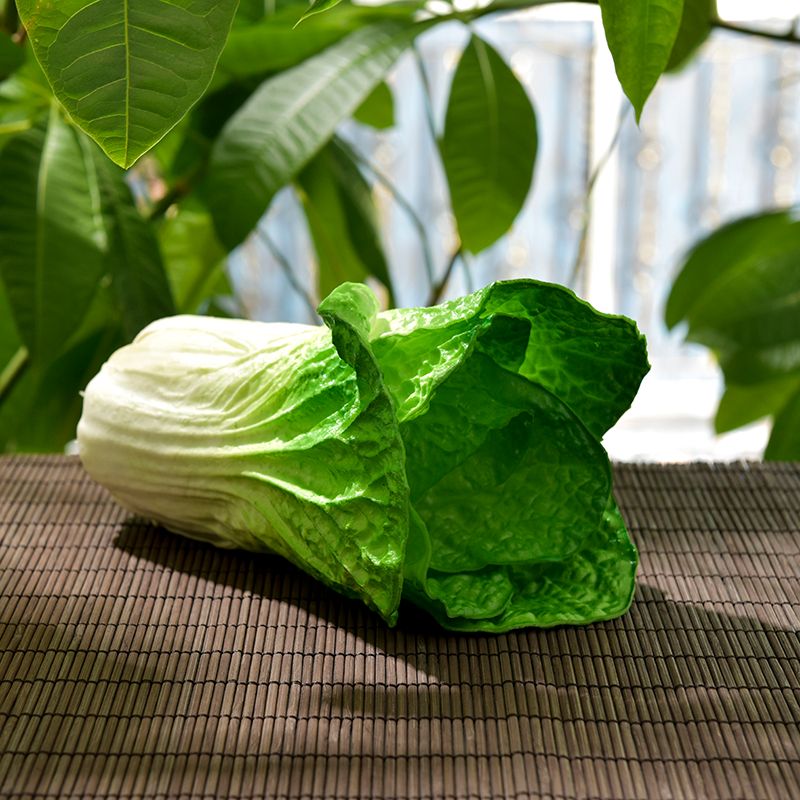 Artificial vegetable model set for pretend play, ideal for kitchen and home decor, by Everything Baby.