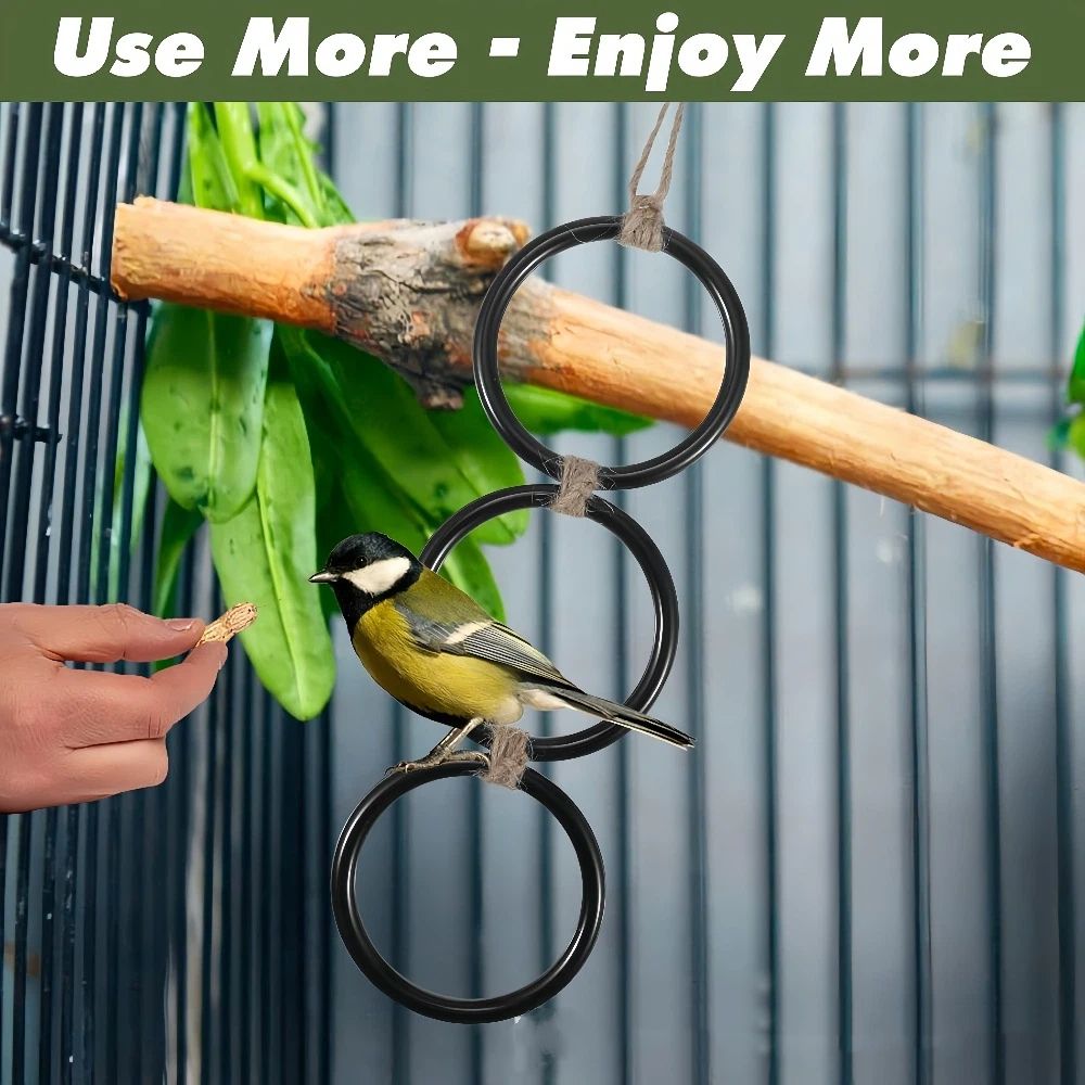 Two snake enrichment rings for corn snakes, colorful climbing toys designed for snake playgrounds and outdoor reptile enrichment.
