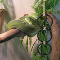 Two snake enrichment rings for ball playgrounds and climbing toys, designed for corn snakes and reptile habitat enrichment.