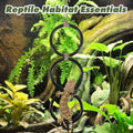 Two snake enrichment rings for corn snakes, colorful climbing toys and outdoor snake play accessories for reptile enrichment.