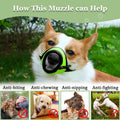 Fluorescent green breathable polyester dog muzzle with drinking hole, soft puppy walking mask for small dogs, size L.