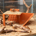 Aquarium fish hideout decoration, undergravel tunnel cave for small fish, 10.24x6.77x2.99 inches, by Everything Baby