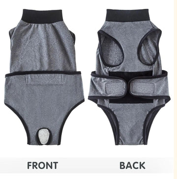 Grey dog recovery suit for post-surgery, spay, or neuter, with anti-licking design, ideal for puppy surgical wound healing.