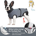 Grey dog recovery suit for post-surgery, spay, or neuter, preventing licking and wound protection for pets.