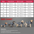 Grey dog recovery suit for surgery, anti-licking puppy bodysuit, post-surgery neuter/spay, cone alternative, fits male and female dogs.