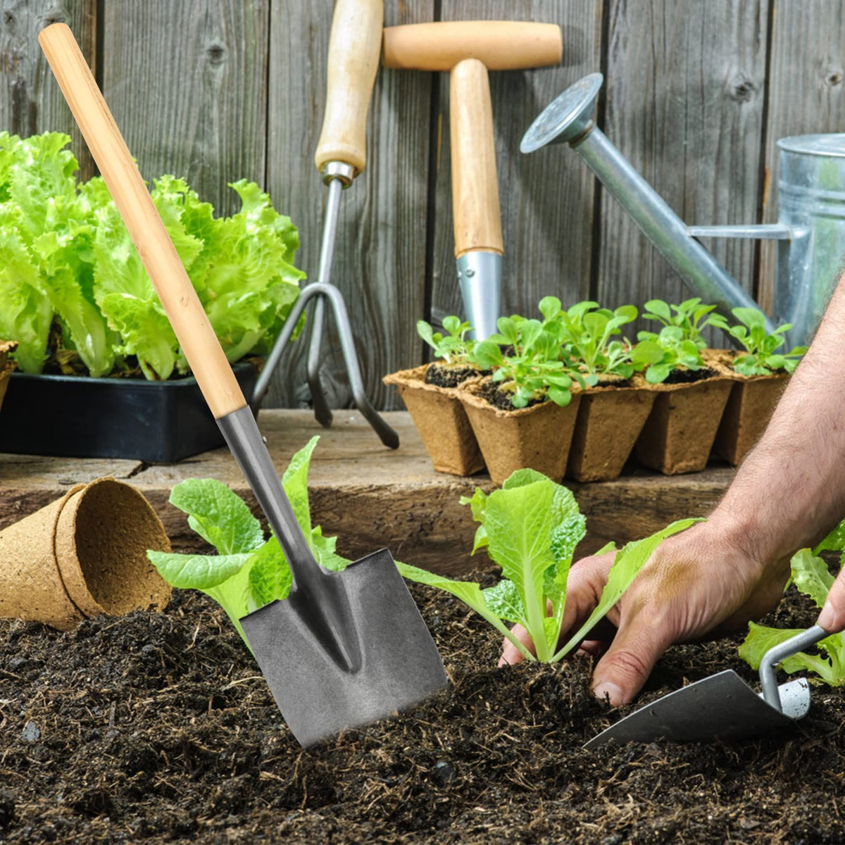 Two wooden shovel handles made of hardwood, suitable for garden sickles and shovels, 30cm long, ideal for landscaping tools.