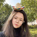 Small pet wearing a mini straw sombrero hat, Mexican style party hat for puppies and cats, with colorful details.