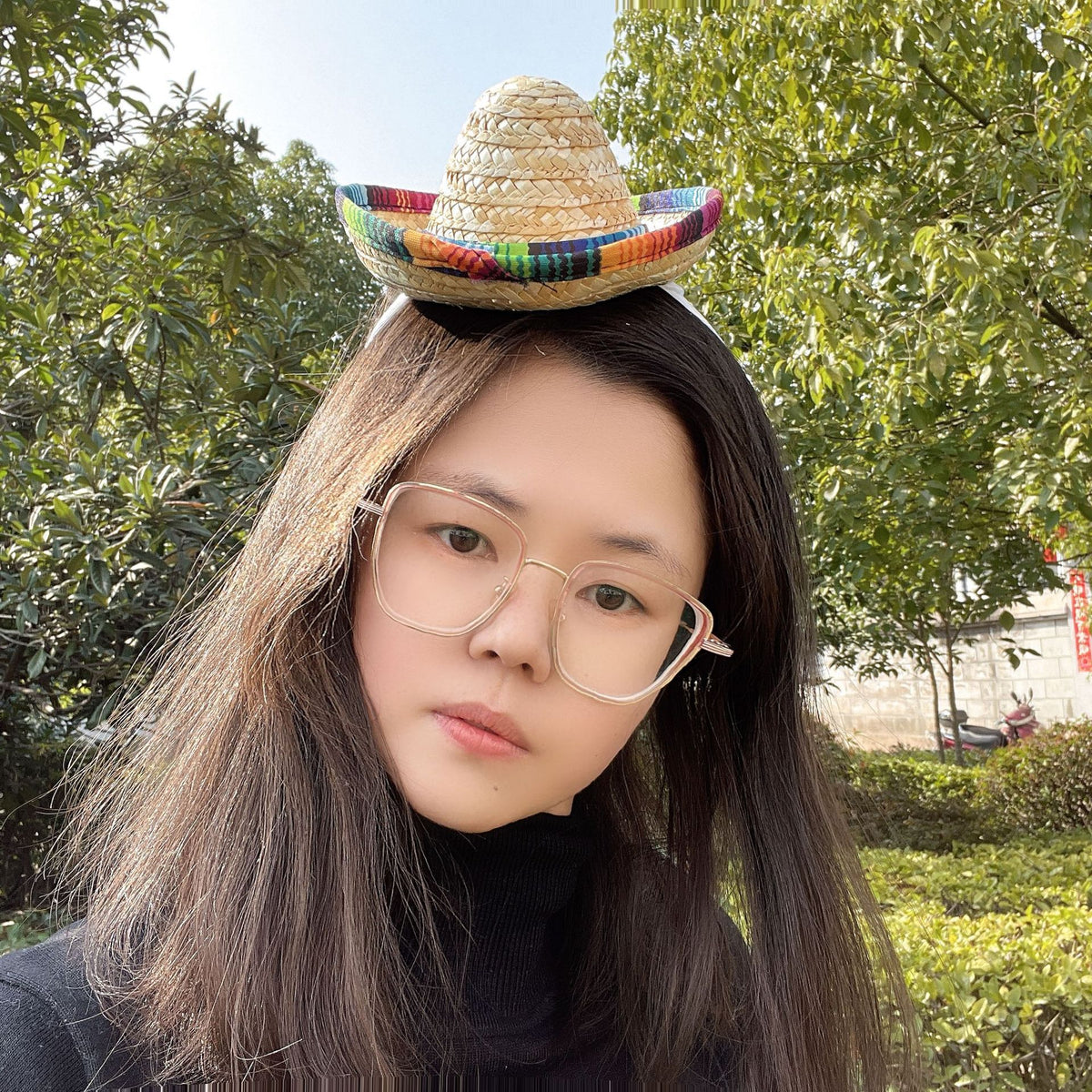 Small pet wearing a mini straw sombrero hat, Mexican style party hat for puppies and cats, with colorful details.