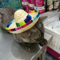Cute mini straw sombrero hat for small pets, like puppies and cats, perfect for festive dress-up and parties.