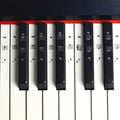 Set of six piano key stickers from Everything Baby, colorful labels for piano keyboards and musical toy decoration.