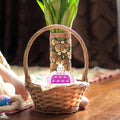 Kids playing Easter Bunny Pop Quick Push game, handheld light-up bubble toy for children, part of pretend play toys from Everything Baby.