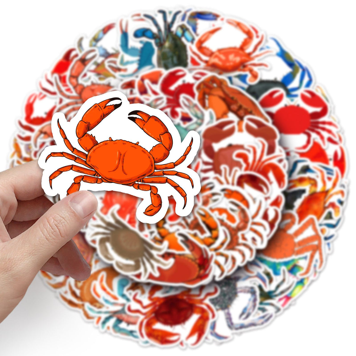 Set of 50 cute crab vinyl stickers for kids, waterproof cartoon stickers for water bottles, laptops, and flasks by Everything Baby