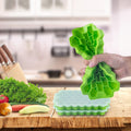 Two AUSSUA silicone ice cube trays with sealing lids, hexagonal reusable ice molds for baby and kids feeding, 74-cube capacity
