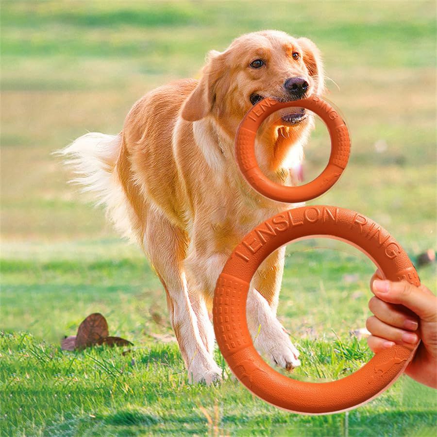 Floating foam circle dog toy with EVA pull ring, chew-resistant and suitable for training and play for border collies.