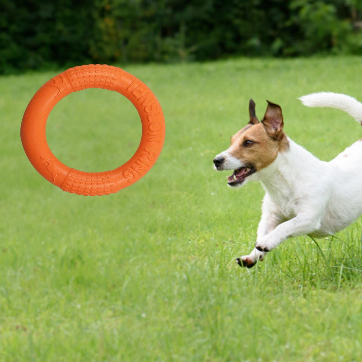 Floating foam pet toy with EVA pull ring, chew-resistant, for dogs, designed for training and play, featuring a solid circular shape.