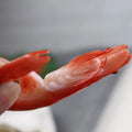 Four realistic fake food models for desktop decor, including shrimp toys, ideal for pretend play and birthday decorations.
