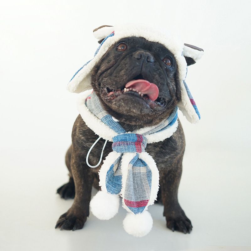 Cute bulldog costume with warm flap ear wrap hood and scarf for pets, ideal for winter, Halloween, Christmas, and birthday parties.