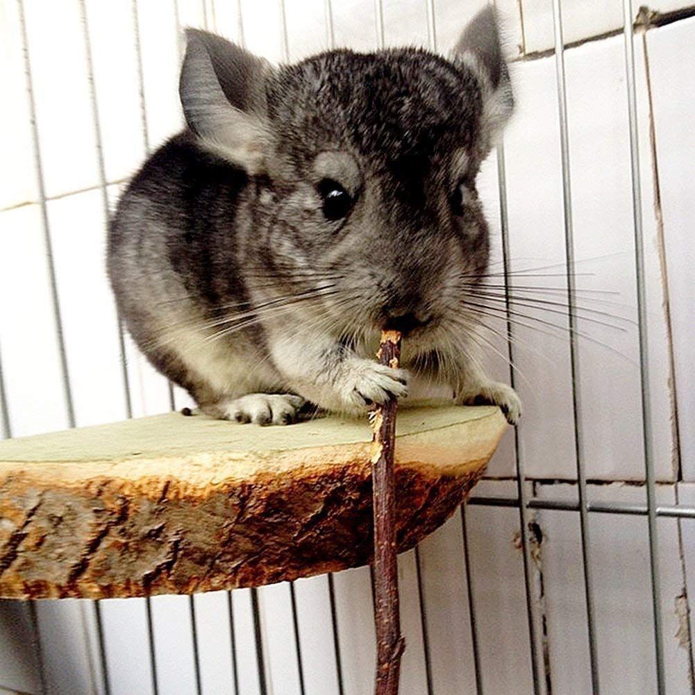 Small animal chew sticks made of wood for rabbits, guinea pigs, hamsters, parrots, and other small pets, natural chew toy from Everything Baby.