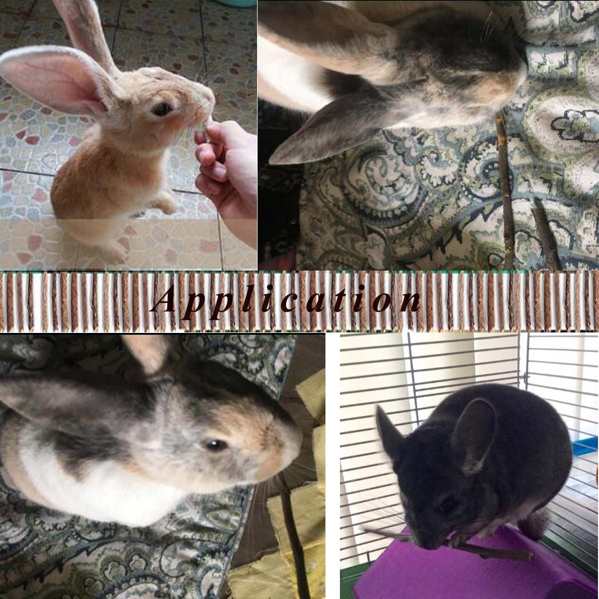 Small animal wood treat sticks for rabbits, guinea pigs, hamsters, and parrots, ideal chew toys for small pets.