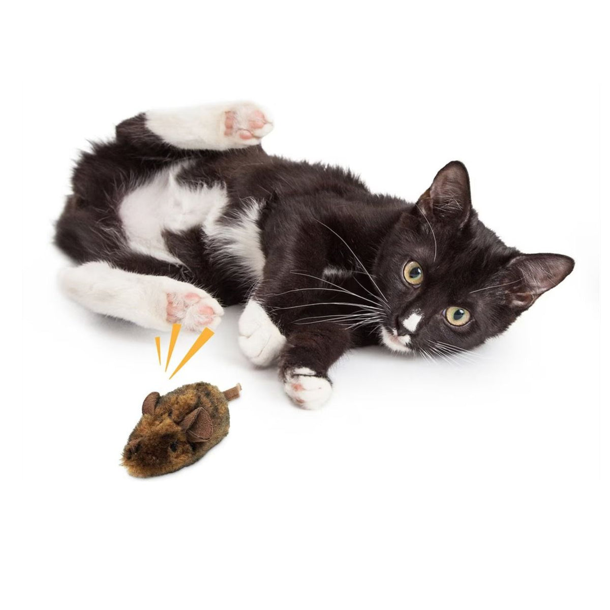 Interactive Mouse Hunter cat toy with electronic mouse sound, featuring real mouse design and catnip for indoor cats.